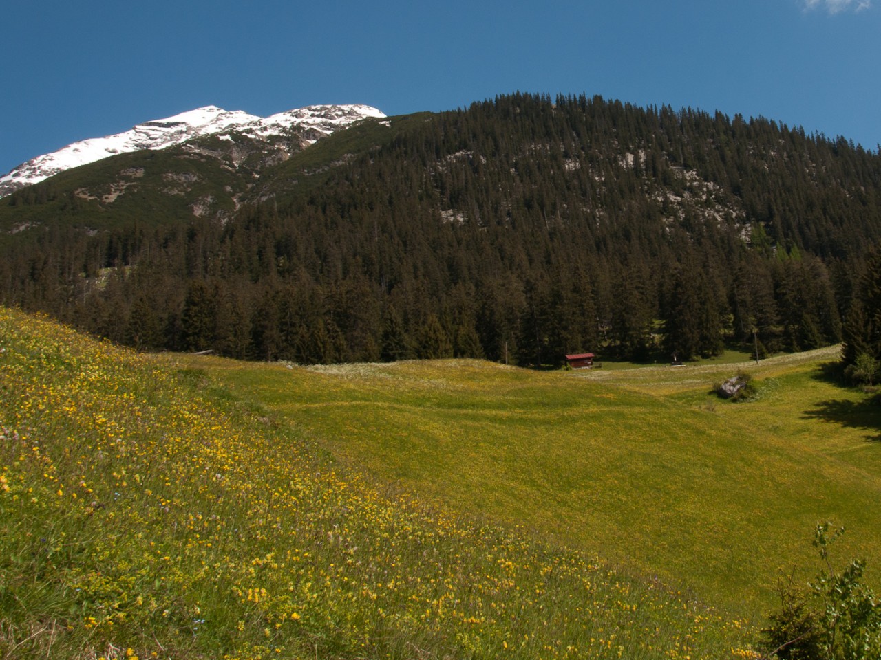  Ellbogner Spitze und Oberellenbogen